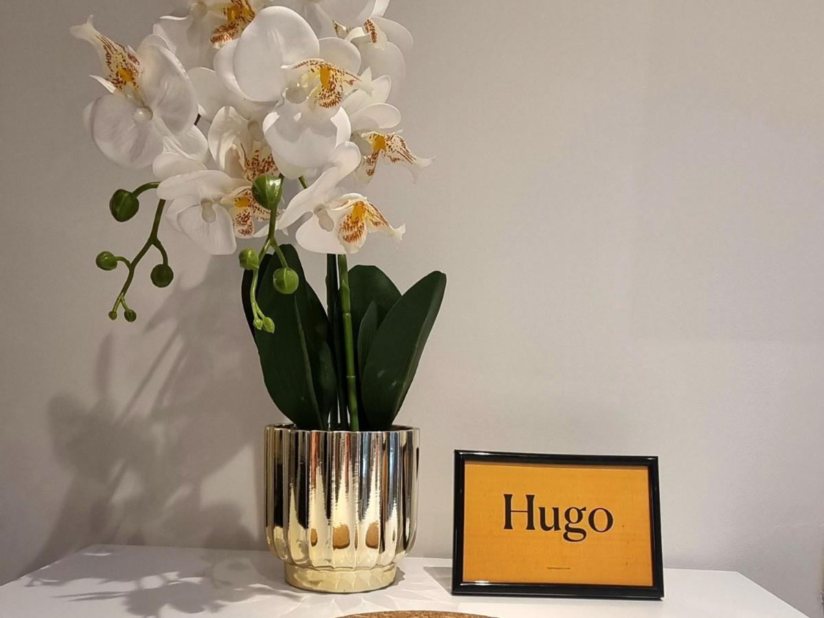 Hugo Old Town Appartement Belgrado Buitenkant foto